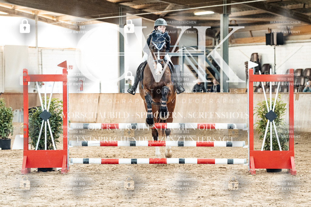 CK904447 | Turnierfotografie Pferdefotografie Trier Rheinland-Pfalz Pferdesport Reitsport Tierfotografie Sportfotografie Pferdevideo Pferdevideografie Equestrianvideography equestrianphotography  - Realized with Pictrs.com