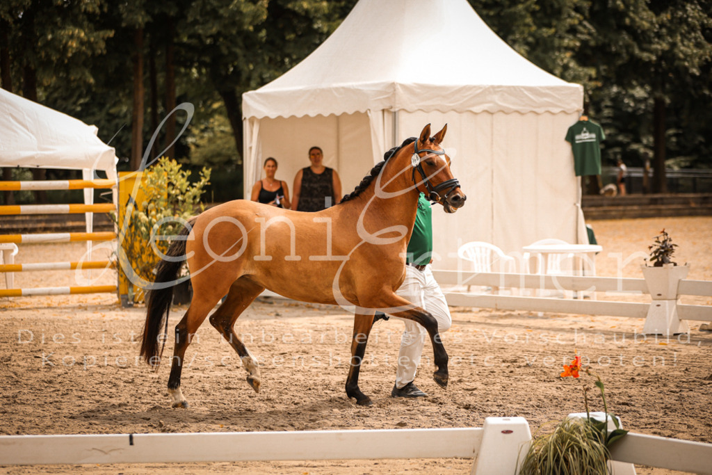 11.So00058 | Leoni Ertmer Photography - Realisiert mit Pictrs.com