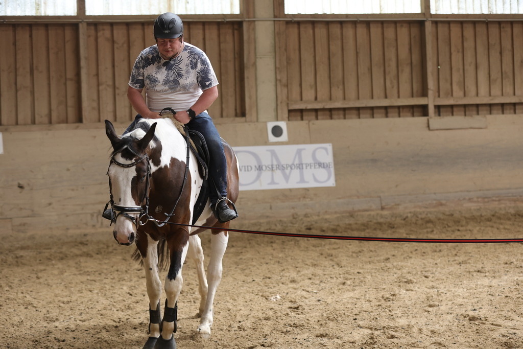 0P6A9151 | Willkommen bei Brunnmayr - Design & Fotografie – Ihrem Spezialisten für Reitturniere und Pferdeveranstaltungen in Oberösterreich, Salzburg und Bayern! Seit über 17 Jahren sind wir leidenschaftlich dabei.
