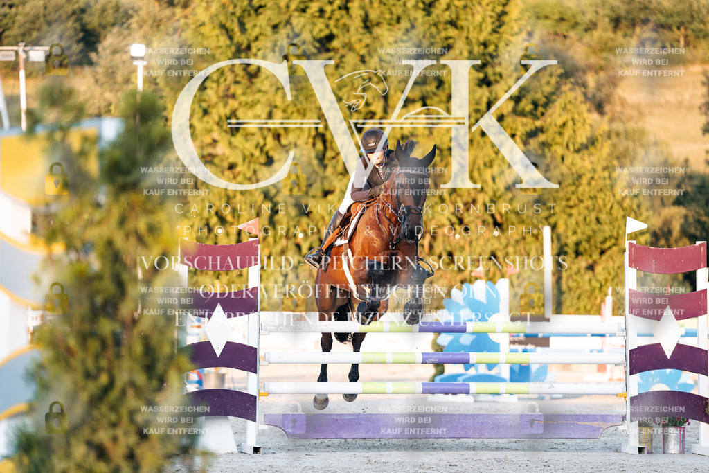 CK901247 | Turnierfotografie Pferdefotografie Trier Rheinland-Pfalz Pferdesport Reitsport Tierfotografie Sportfotografie Pferdevideo Pferdevideografie Equestrianvideography equestrianphotography  - Realisiert mit Pictrs.com