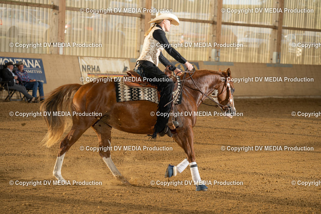 LAU01978 | dv-media-shop - Realisiert mit Pictrs.com