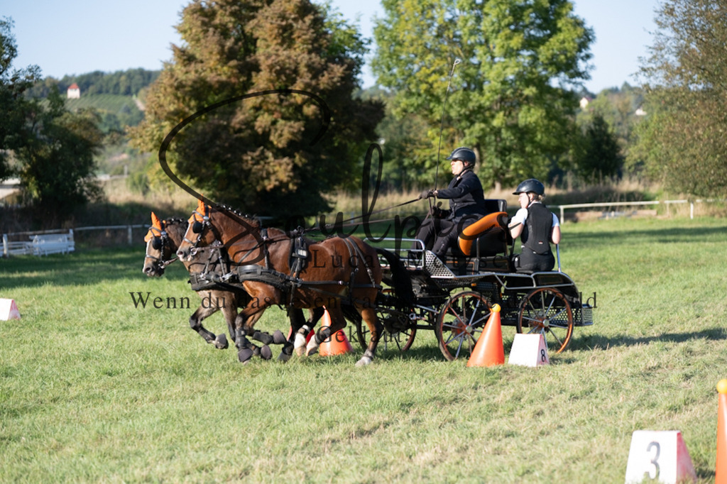 A7V04638 | Pferdefotograf