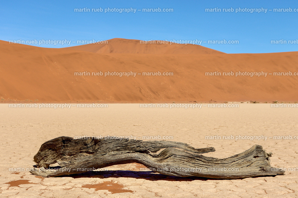 Rest in the Namib | A piece of a tree at deadvlei - Realisiert mit Pictrs.com