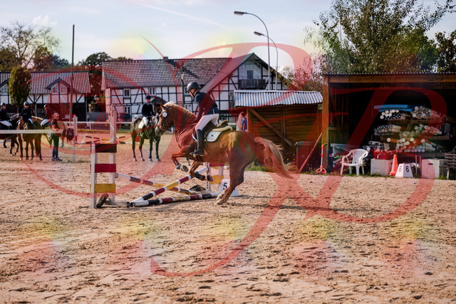 2026_10_03_Siefer-Hof_144727_Z81_24524529 | Professionelle Reitsport-, Turnier- und Eventfotografie von Robert Broda. Galerien mit ausgewählten und bearbeiteten Bildern direkt online ansehen und bestellen.