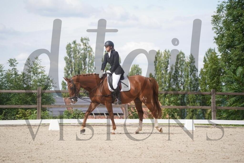 tgbhsamstag (1070) | d.tail Visions - Shop - Realisiert mit Pictrs.com