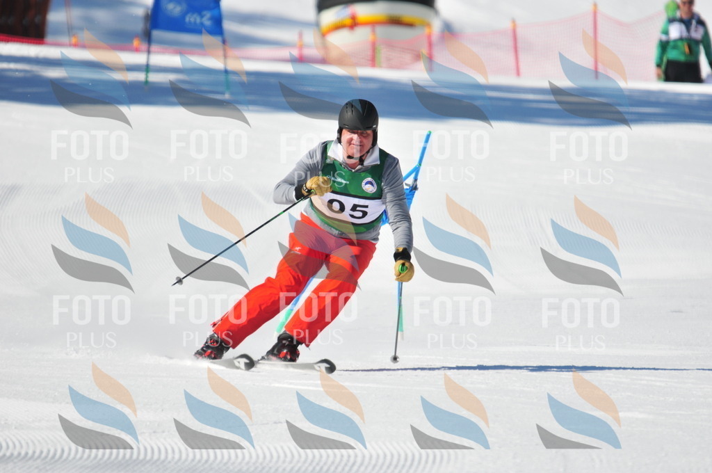 C2339 | holidayphoto