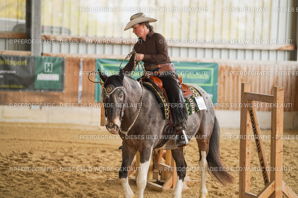 DSC04693 | Pferdegrafie