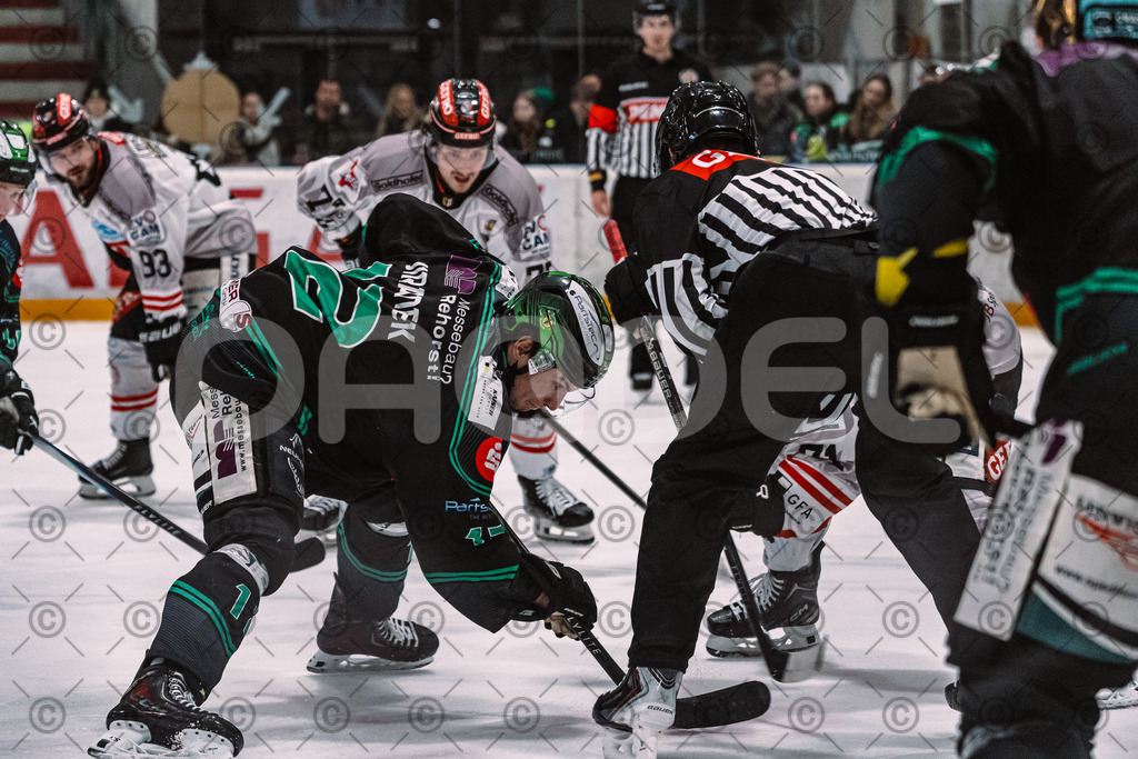 Alligators_vs_Memmingen_09_01_2026-51 | Höchstadt Alligators Fotogalerie: Eishockey-Action aus Franken. Professionelle Spielfotos, Portraits & Stadionbilder zum Download. Jetzt entdecken! - Realisiert mit Pictrs.com