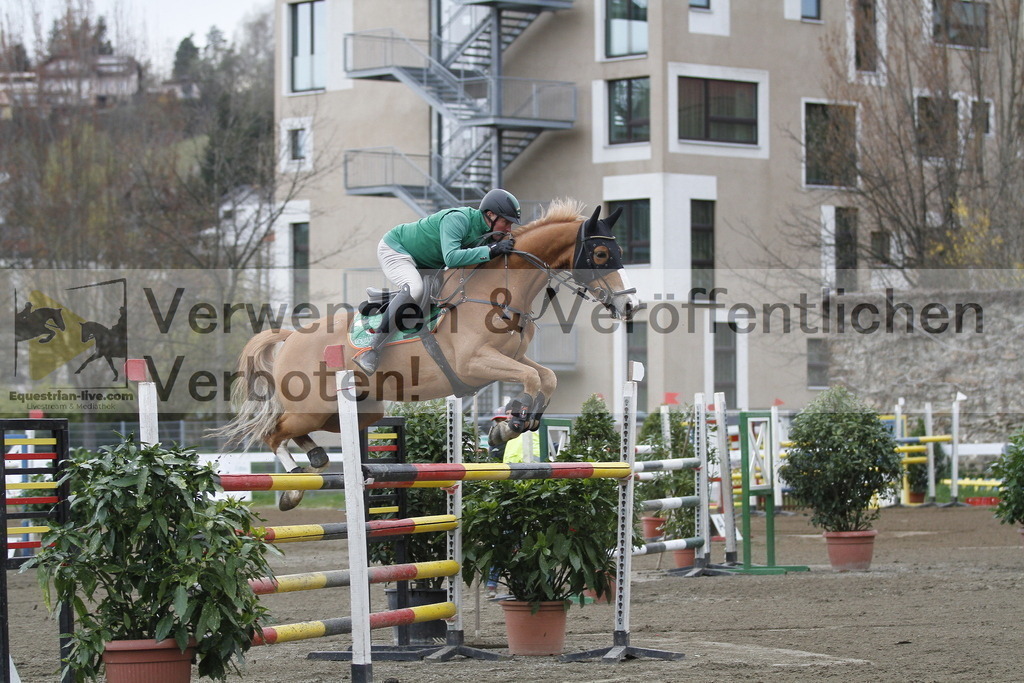 _MG_6530 | equestrian-live-com