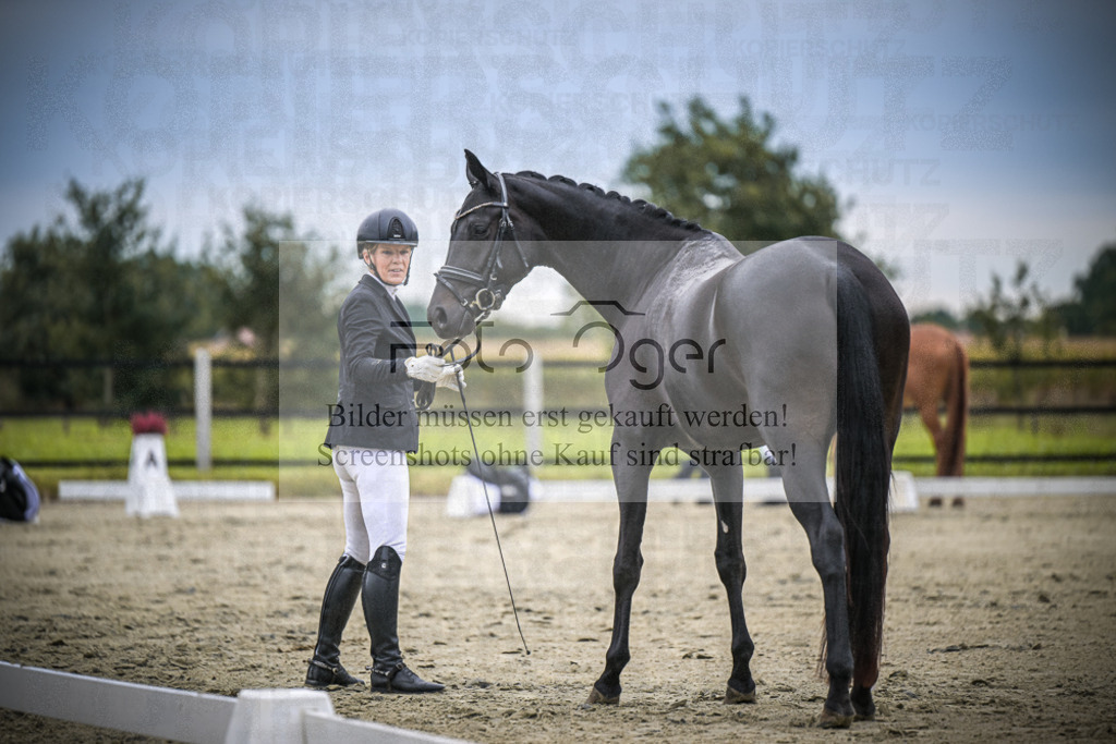 DOS_1652 | Entdecke hochwertige Reitturnierfotos von Foto Oger. Professionell, emotional und authentisch – jetzt Lieblingsmomente im Shop bestellen.Deutschlandweite Turnierfotografie. - Realisiert mit Pictrs.com