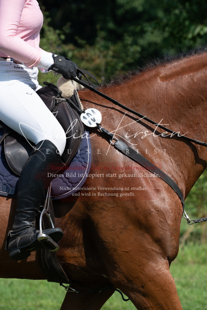 DSC_0615 | Pferde- und Turnierfotografie in Westsachsen. Pferdeportraits, Auftragszeichnungen und intuitive Kunst.
