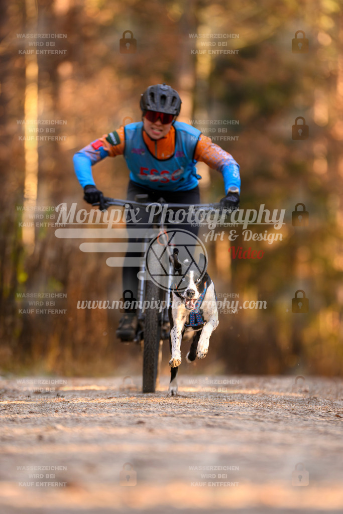 MompixPhotography_DM_AKDM_SO_2025_Bike-84 | PayLife
