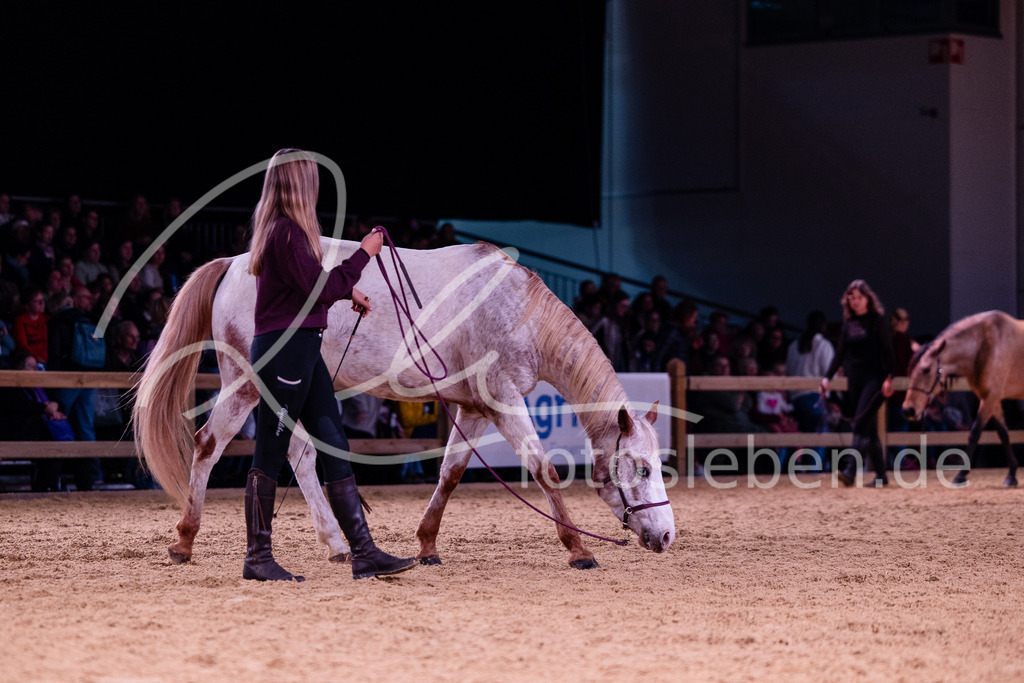 846A7633 | fotosleben - Realisiert mit Pictrs.com