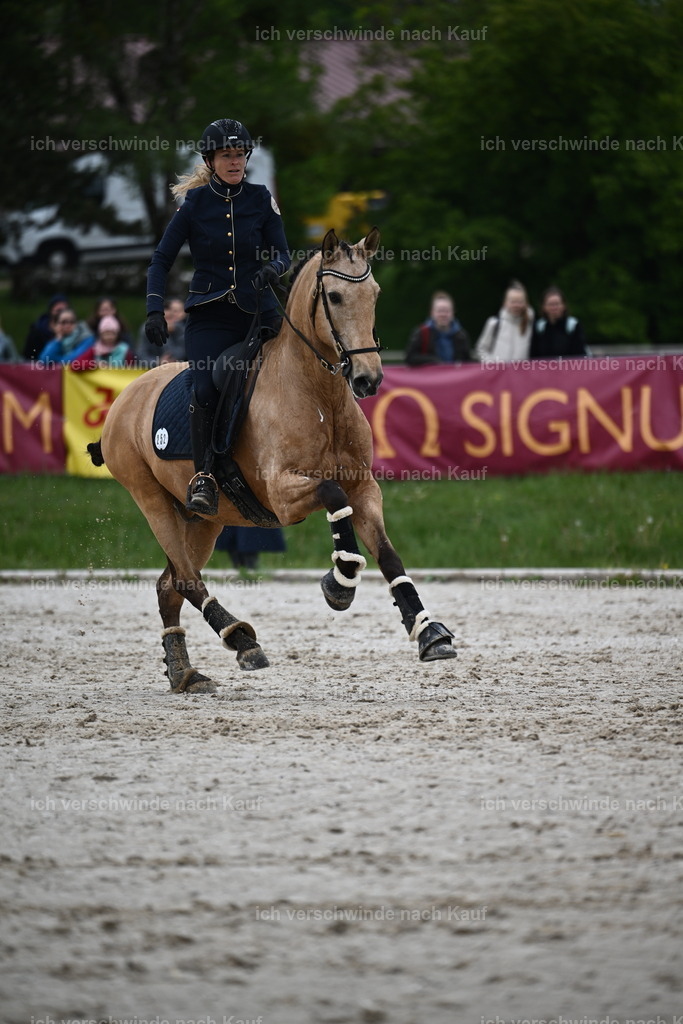 PI26_SP_Sara_Landvogt_226_4840.JPG | working equitationturnier fotograf videograf stoibphotography marixx film working equitation deutschland reitsport turnierfotografie eventfotografie equestrian events