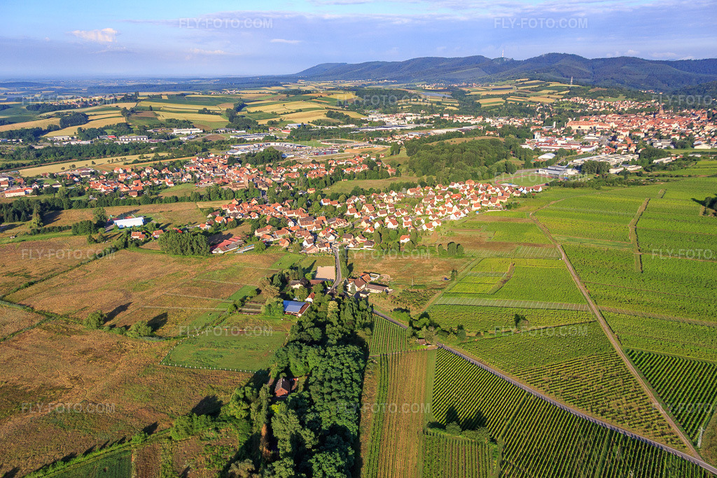 Aerial view: View of the town from the northeast in the district Altenstadt in Wissembourg in the state Bas-Rhin, France.Photo: IMG_089931.jpg taken on 06/26/2016 by Werner Riehm/FLY-FOTO.comResolution of the original: 5359 x 3573 px