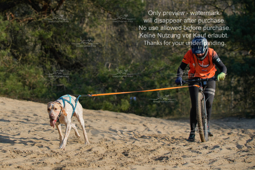 So_Scooter-232 | stephaniefillaphotographie - Realisiert mit Pictrs.com