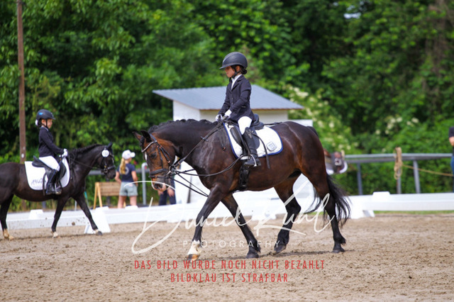 DKP47517 | Turnierfotos kaufen im Webshop von Daniel Kuhl Photography – entdecke professionelle Reitsportfotos aus Turnieren & Events. Hochwertige Turnierbilder online bestellen & sichern. Jetzt Fotos von Reitsportturnieren kaufen!