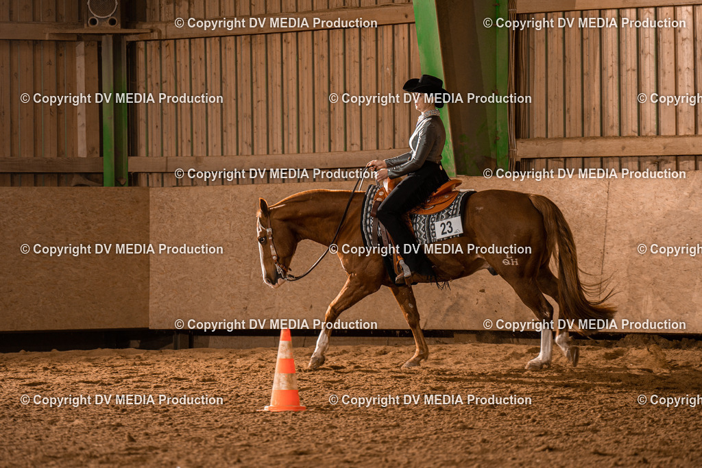 BAL01681 | dv-media-shop - Realisiert mit Pictrs.com