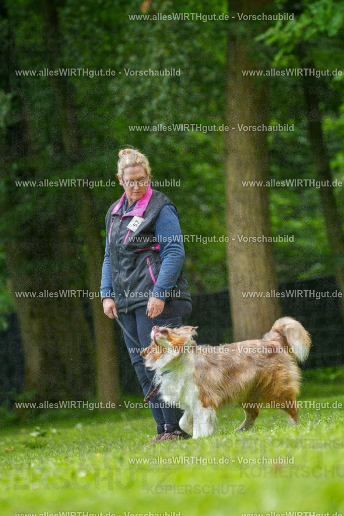 @allesWIRTHgut_Tierfotografie - www.allesWIRTHgut.de - 7R501191 | Professionelle Tierfotografie in Mönchengladbach von Daniel Wirth (allesWIRTHgut). Liebevolle & natürliche Bilder von Hunden & Katzen für unvergessliche Erinnerungen.