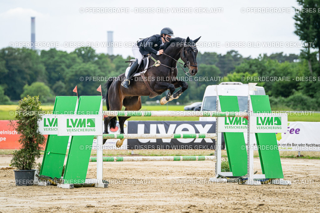 DSC07099 | Pferdegrafie