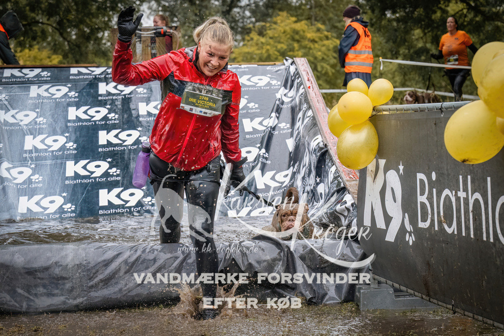 1237_ZZ90302 | kk-dogfotos