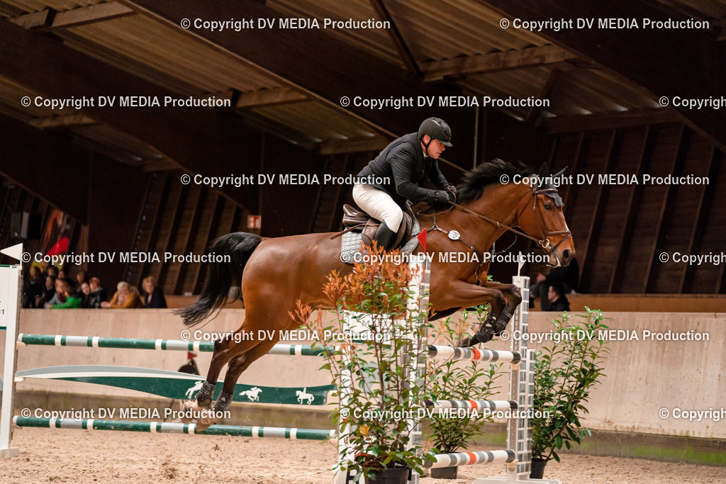 Springen Tag 1-457 | dv-media-shop - Realisiert mit Pictrs.com