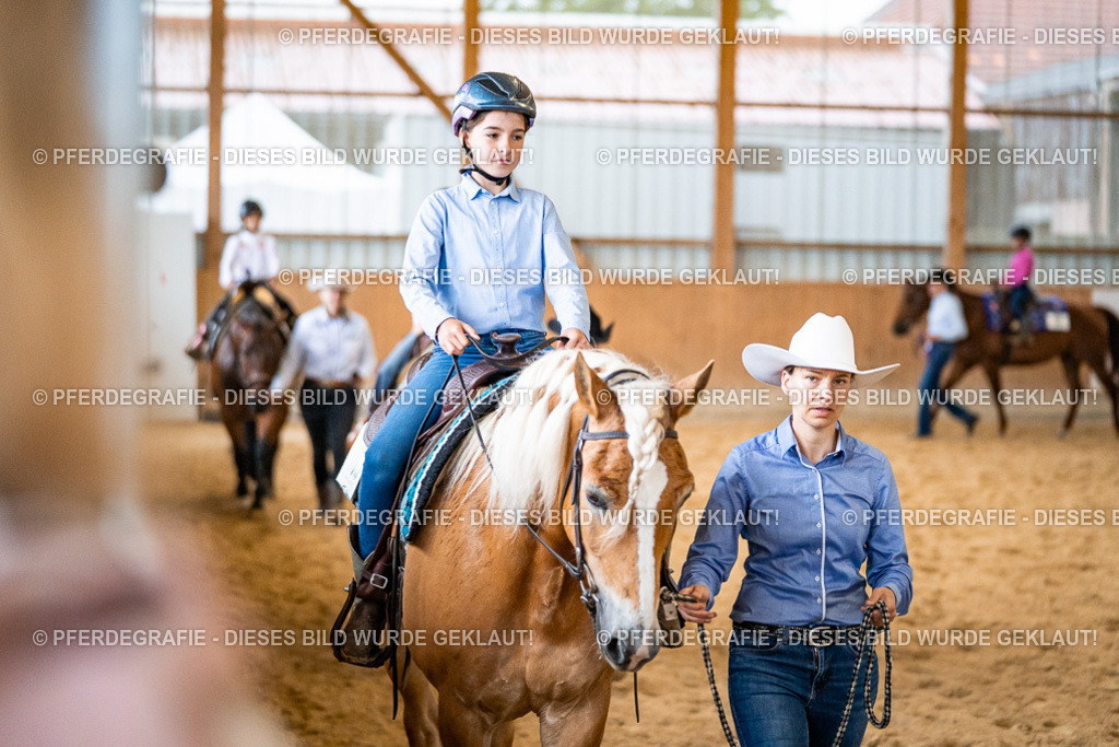 DSC00823 | Pferdegrafie