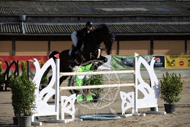 2B4A3780 | pixelfaenger - Realisiert mit Pictrs.com