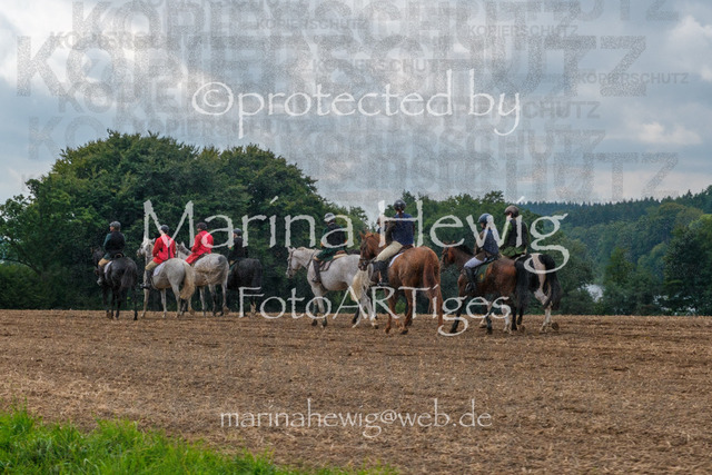 Jagd Perdoel_MarinaHewigDSCF3477 | Fotografie, FotoArt, PferdesportArt, Pferdesportfotografie, Landschaftsfotografie, Reisefotografie, Reise, Pferde - Realisiert mit Pictrs.com
