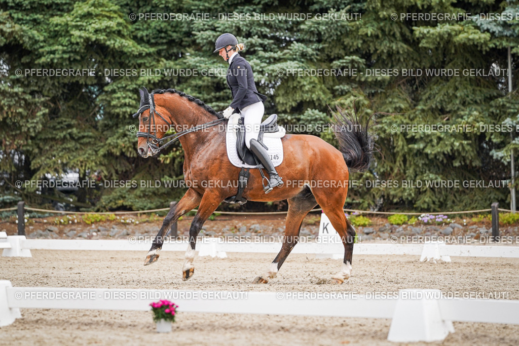 DSC04219 | Pferdegrafie