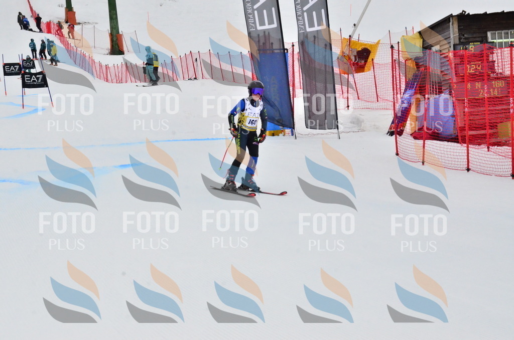 _ELE3853 | holidayphoto