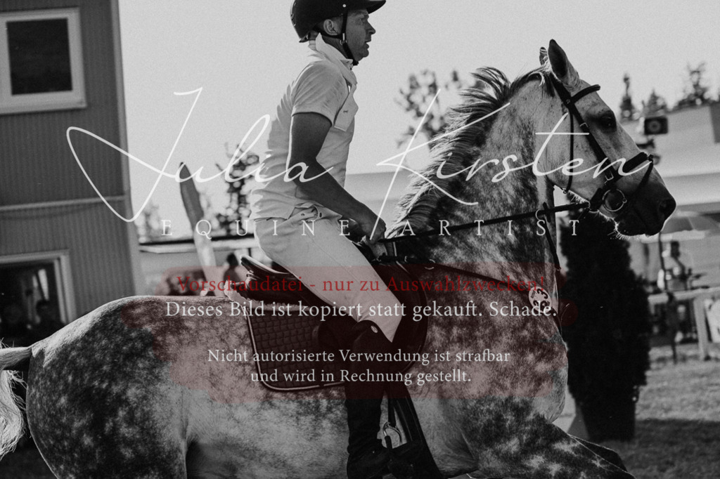 DSC_3048 | Pferde- und Turnierfotografie in Westsachsen. Pferdeportraits, Auftragszeichnungen und intuitive Kunst.