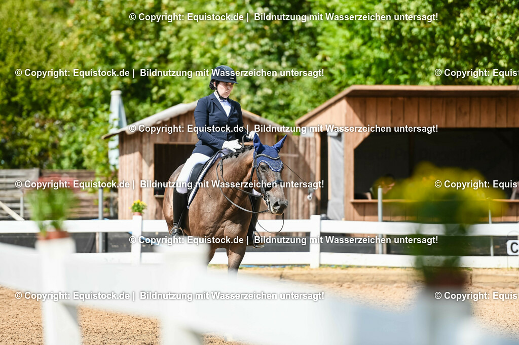 20230716_01_Dressurprüfung Kl.M_0311 | equistock