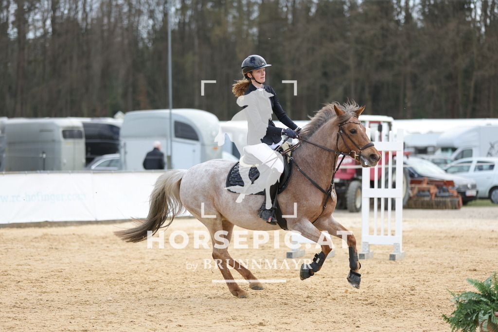 0P6A8560 | Willkommen bei Brunnmayr - Design & Fotografie – Ihrem Spezialisten für Reitturniere und Pferdeveranstaltungen in Oberösterreich, Salzburg und Bayern! Seit über 17 Jahren sind wir leidenschaftlich dabei.