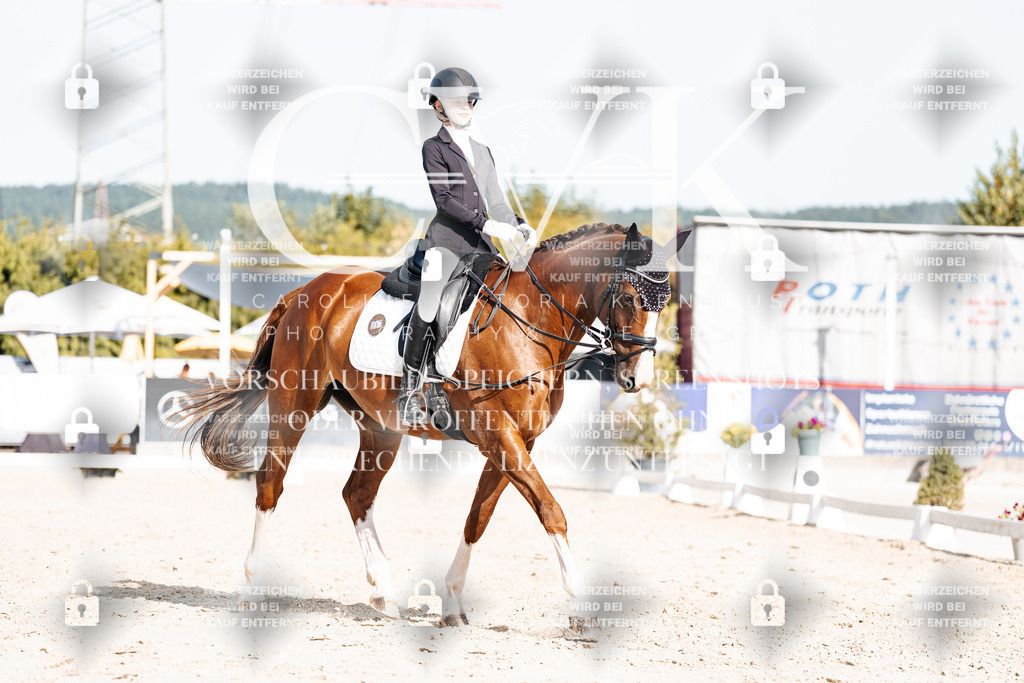 CK905570 | Turnierfotografie Pferdefotografie Trier Rheinland-Pfalz Pferdesport Reitsport Tierfotografie Sportfotografie Pferdevideo Pferdevideografie Equestrianvideography equestrianphotography  - Realisiert mit Pictrs.com