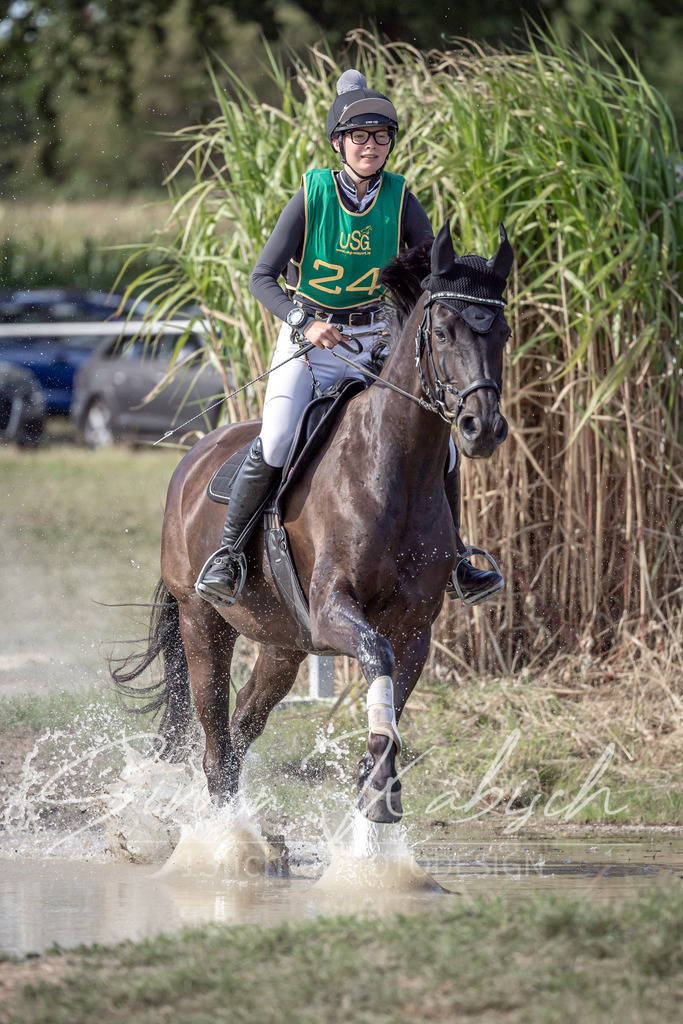 20250907-_3LI2503 | Tierfotografie Pferde, Hunde, Katzen, Haustiere.
Turnierfotografie Reitturniere, Reiten, Springreiten, Dressur in Hanau, dem Main-Kinzig-Kreis und dem Rhein-Main- Gebiet um Frankfurt