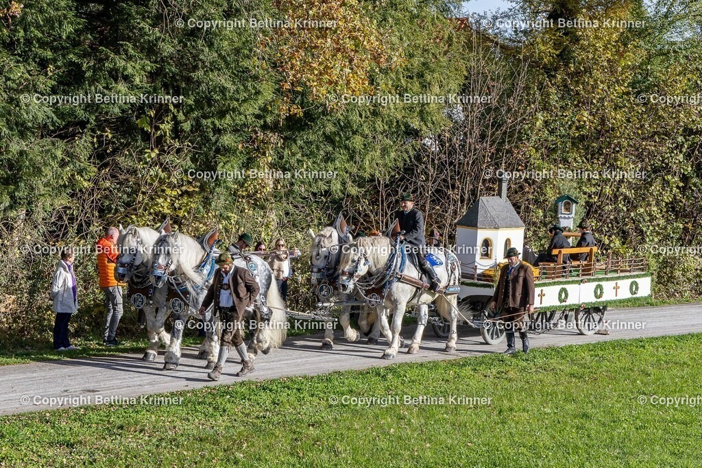 LBT24-474 | foto-bettina-krinner - Realisiert mit Pictrs.com