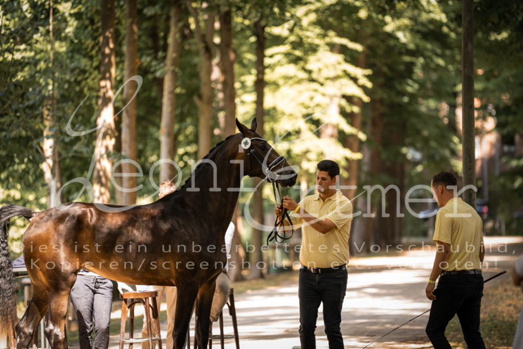 FrPfM00214 | Leoni Ertmer Photography - Realisiert mit Pictrs.com