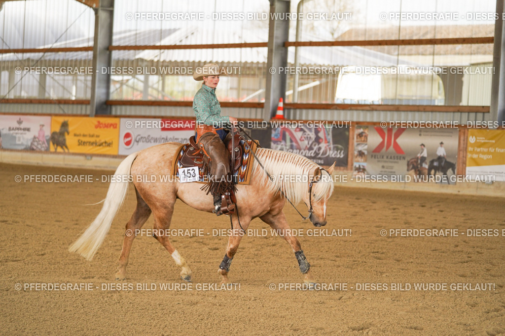 DSC07032 | Pferdegrafie