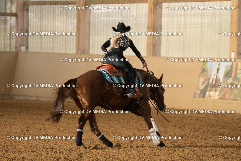 LAU00813 | dv-media-shop - Realisiert mit Pictrs.com