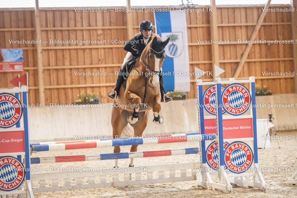 _D5A8081 | Emotionale Pferde- & People-Fotografie rund um Heidelberg, Leimen & Umgebung. Natürliche Fotos von Pferd, Mensch & Familie. Jetzt Termin sichern!