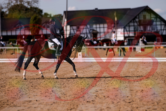 2026_10_03_Siefer-Hof_121536_Z81_17333874 | Professionelle Reitsport-, Turnier- und Eventfotografie von Robert Broda. Galerien mit ausgewählten und bearbeiteten Bildern direkt online ansehen und bestellen.