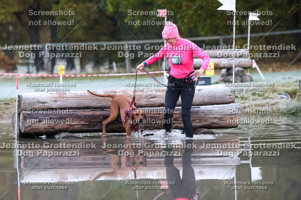 Dog Paparazzi - Strongdog 10-25-6061 | Dog Paparazzi Jeanette Grottendiek Fotografie & Videografie - Realisiert mit Pictrs.com