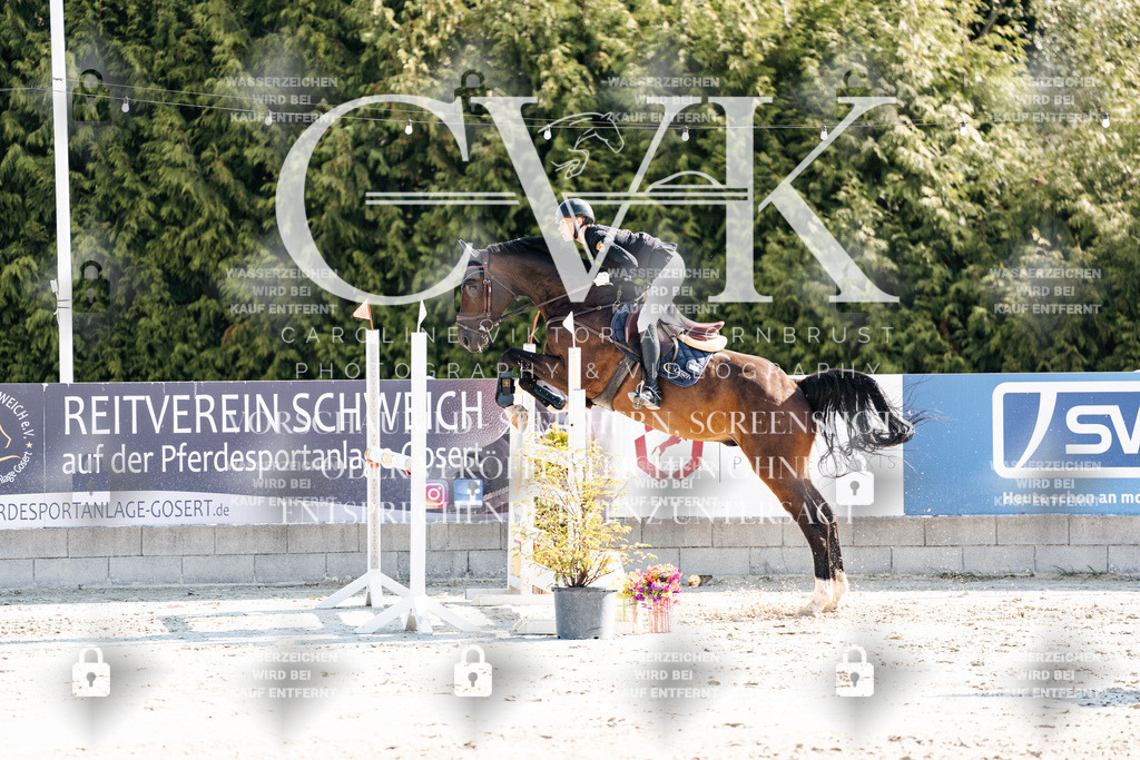 CK902122 | Turnierfotografie Pferdefotografie Trier Rheinland-Pfalz Pferdesport Reitsport Tierfotografie Sportfotografie Pferdevideo Pferdevideografie Equestrianvideography equestrianphotography  - Realisiert mit Pictrs.com