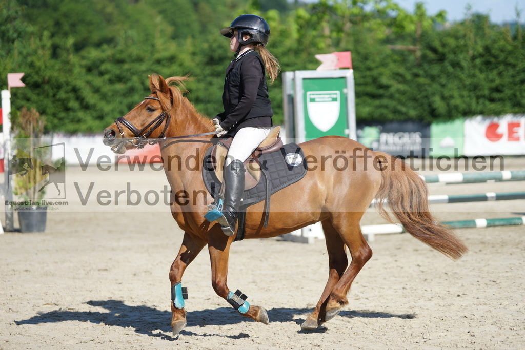 DSC06020 | equestrian-live-com