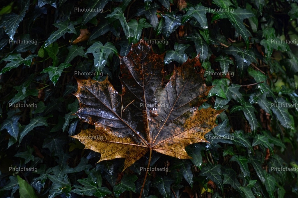 IMG_3851 | phototaetig