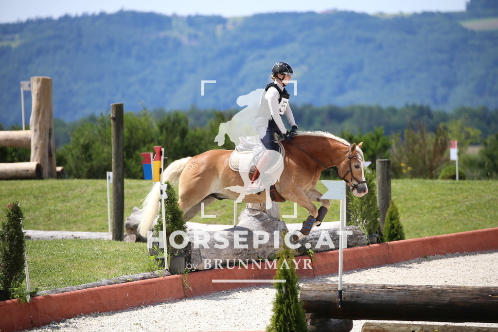 DL2Q0951 | Willkommen bei Brunnmayr - Design & Fotografie – Ihrem Spezialisten für Reitturniere und Pferdeveranstaltungen in Oberösterreich, Salzburg und Bayern! Seit über 17 Jahren sind wir leidenschaftlich dabei.