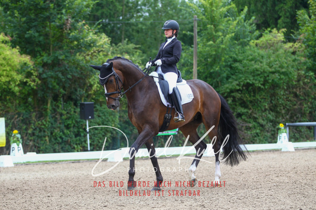 DKP40305 | Turniersportfotografie; Pferdefotografie; Dressurfotografie