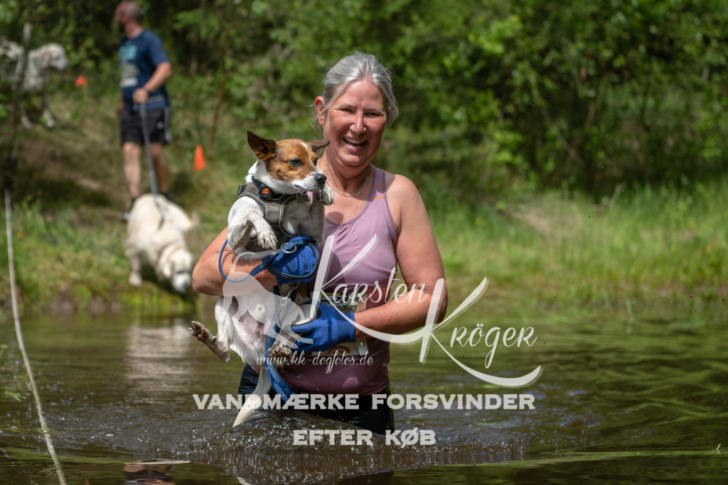 1223DKK992673 | kk-dogfotos