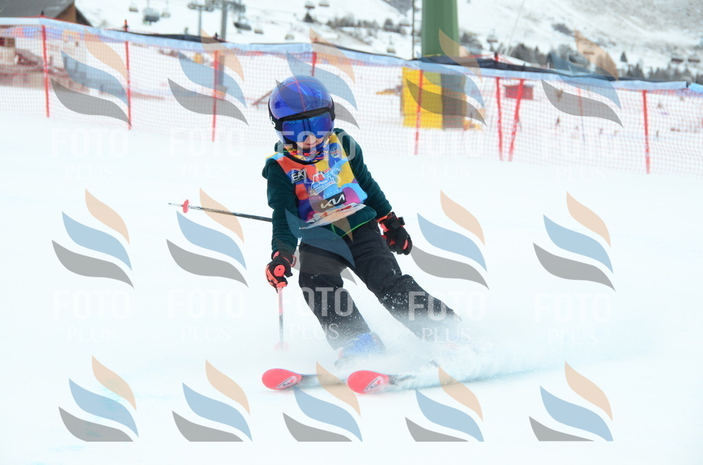 DSC_1217 | holidayphoto